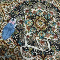 جلیقه پرواز پرنده و پوشاک پرنده