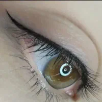 انواع آرایش دائم ابرو.چشم و لب به صورت تخصصی|خدمات آرایشگری و زیبایی|داراب, |دیوار