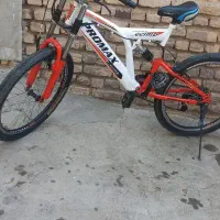 دوچرخه جفت کمک دندیی