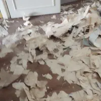 خدمات نظافتی صفرشویی بارادتمام نقاط شهر|خدمات نظافت|مشهد, جانباز|دیوار