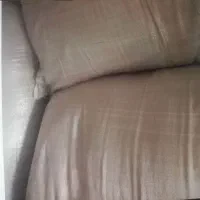 جوحیوانی