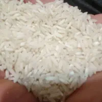 برنج علی کاظمی درجه یک