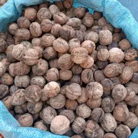 گردو درجه یک بشرط مغز