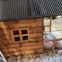 خانه سگ در حد نو برای نژاد بزرگ چاوچاو