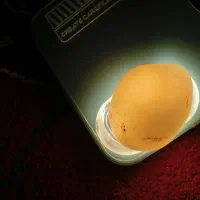 سنگ|جواهرات|مهربان, |دیوار