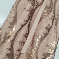 تاپ مجلسی