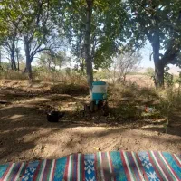 باغ گردو بادام|فروش دفتر صنعتی، کشاورزی، تجاری|نوبران, |دیوار