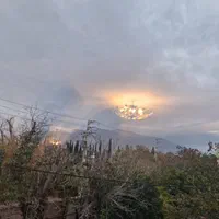تک واحدی قصردشت، وکلا