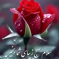 خط تلفن ثابت بازار تهران