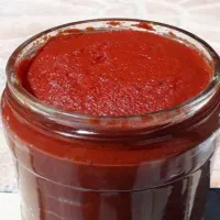 رب خانگی تازه