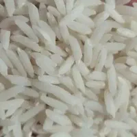 برنج شیرودی طارم