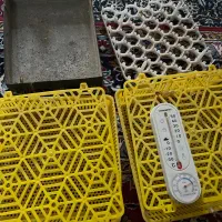 دستگاه جوجه کشی۸۴