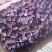 خرما (زردان) ربی)ارم|خوردنی و آشامیدنی|سیب و سوران, |دیوار