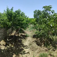 ۵۰۰متر باغچه سند دار،در شهریار