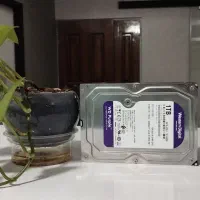 هارد اینترنال وسترن بنفش