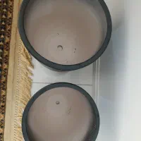 گلدون|گل و گیاه طبیعی|مشهد, الهیه|دیوار