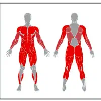 مربی پرورش اندام و فیتنس