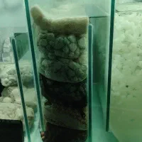 اکواریوم سوپر حرفه ای ریملس|ماهی|مشهد, طلاب|دیوار