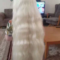 با خیالی آسوده موخودتااواخربهاربالابفروش خریدارمو