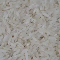 برنج دانه بلند|خوردنی و آشامیدنی|ایذه, |دیوار