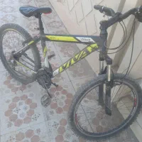 دوچرخه ویوا اکسیژن|دوچرخه، اسکیت، اسکوتر|باوی, |دیوار