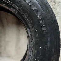 لااستیک