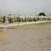 کرج به سنقر