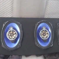 پخش و باند پاوینر