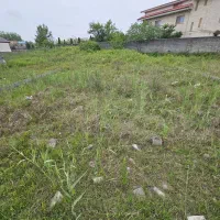 203مترمسکونی/خشکبیجارشهری/سردارجنگل