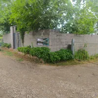 فروش زمین ۲۸۷ متری در  روستای زیبای نوخاله|فروش زمین و ملک کلنگی|رشت, یخسازی|دیوار