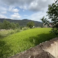 قطعه های ۲۰۰ متری زمین نزدیک تهران ((جنگل هراز ))|فروش زمین و ملک کلنگی|امامزاده عبدالله, |دیوار