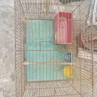 قفس ۲۰۰ هزار|لوازم جانبی حیوانات|رشت, پارک شهر|دیوار