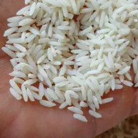 برنج علیکاظمی