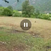 1000متر-روستای-لنگر-ساری
