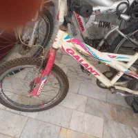 دوچرخه