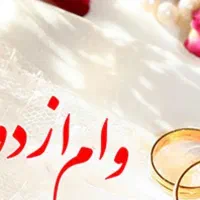 ضامن وام میشم شراکت