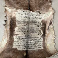 تابلو دیوار کوب پوست