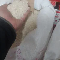 برنج طارم و ضیغمی شیروان به شرط پخت|حراج|ایلام, |دیوار