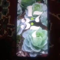 گوشی شیائومی ردمی 13