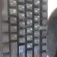 فروشنده خانم