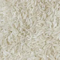 حدود500کیلو برنج هاشمی کشت دوم بدون واسطه ازکشاورز