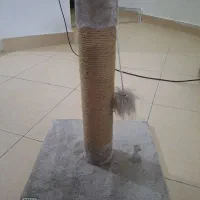 اسکرچر گربه