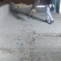 مالینویز نر|سگ|کاشان, مزرعه نو|دیوار