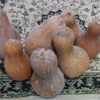 کدو حلوایی محلی و خوش طعم
