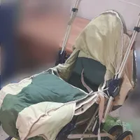 کالسکه به همراه کریر|کالسکه و لوازم جانبی|تهران, شهرک ولیعصر|دیوار