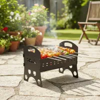 منقل مسافرتی پرتابل|کوهنوردی و کمپینگ|شیراز, انجیره|دیوار