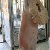 قصابی برادران کرمی نمره ۲|خوردنی و آشامیدنی|مسجد سلیمان, |دیوار