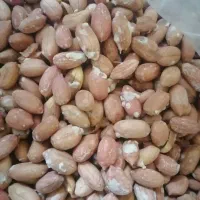 بادام زمینی آستانه