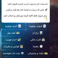 فروش ربات آنلاین یوتوپیا|خدمات رایانه‌ای و موبایل|تهران, ونک|دیوار