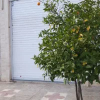 منزل مبله میدان فرصت شیرازی ( ساعتی نداریم)|اجارهٔ کوتاهمدت آپارتمان و سوئیت|شیراز, پودنک|دیوار